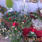 zdjęcie nr 114