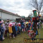 zdjęcie nr 25