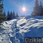 zdjęcie nr 13
