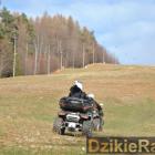 zdjęcie nr 89
