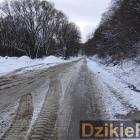 zdjęcie nr 9