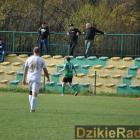 zdjęcie nr 12