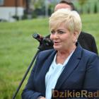 zdjęcie nr 263