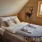 Fotka nr 1 z 13