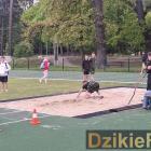 Fotka nr 4 z 5