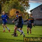 Fotka nr 5 z 11