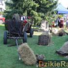 zdjęcie nr 87