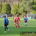 zdjęcie nr 30