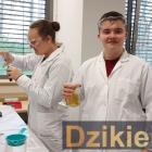 zdjęcie nr 9