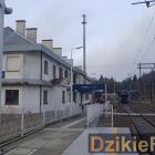 zdjęcie nr 12