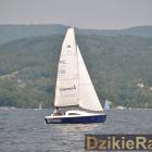 zdjęcie nr 173