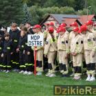 zdjęcie nr 39