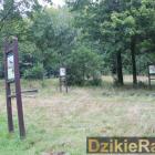 zdjęcie nr 102