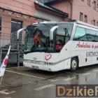 Fotka nr 5 z 6