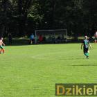 zdjęcie nr 17