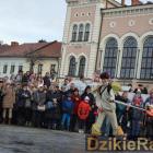 zdjęcie nr 302