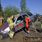 zdjęcie nr 19