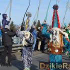 zdjęcie nr 110