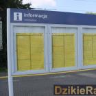 zdjęcie nr 12