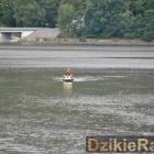 zdjęcie nr 167
