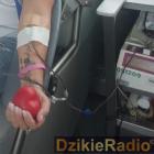 zdjęcie nr 28