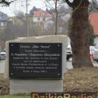 zdjęcie nr 39