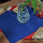 zdjęcie nr 22