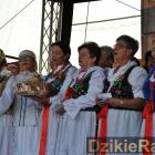 zdjęcie nr 176