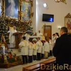 zdjęcie nr 157