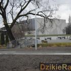 zdjęcie nr 192