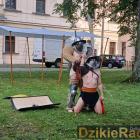 zdjęcie nr 86