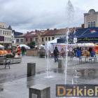 zdjęcie nr 213