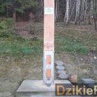 Fotka nr 1 z 5