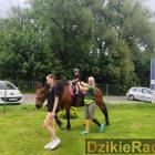 zdjęcie nr 17