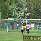 zdjęcie nr 30