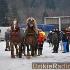 zdjęcie nr 14