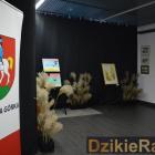 zdjęcie nr 15