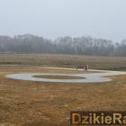 Fotka nr 4 z 21