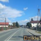 Fotka nr 2 z 3