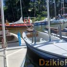 zdjęcie nr 85