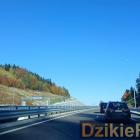 zdjęcie nr 130