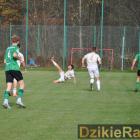 zdjęcie nr 96