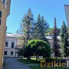 zdjęcie nr 48