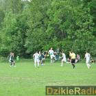 zdjęcie nr 22