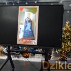zdjęcie nr 26
