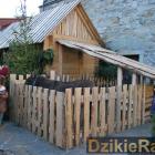 zdjęcie nr 14