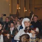 zdjęcie nr 218
