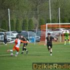 zdjęcie nr 187