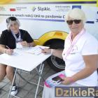 Fotka nr 3 z 10