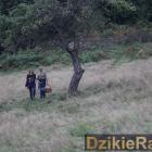 zdjęcie nr 113